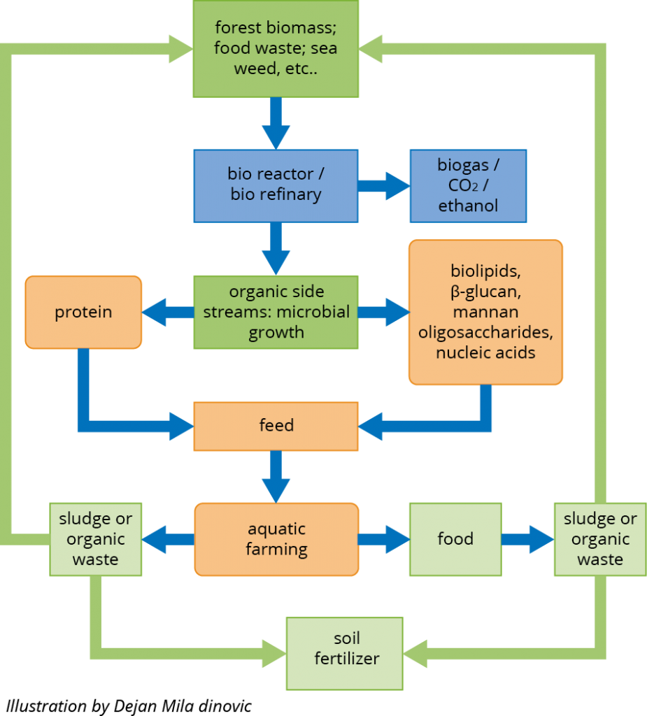 A Protein Revolution With Novel Feed Sources - Improve